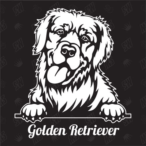 Golden Retriever Version 5 - Sticker, Aufkleber, Hundeaufkleber, Autoaufkleber, Hund, Auto, Hunderassen, Mischling, Mix, Tiere, Haustier (AUCH MIT Wunschname MÖGLICH)