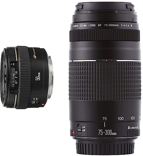Canon EF 50mm F1.4 USM Standardobjektiv (58mm Filtergewinde) schwarz & EF 75-300mm F4.0-5.6 III Zoomobjektiv (58mm Filtergewinde) schwarz