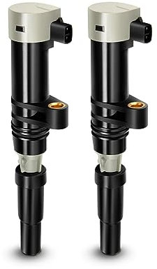 Frankberg 2x Zündspule Benzin Kompatibel mit Duster Logan Sandero 1.6L 2006-2020 Clio 1.4L-2.0L 1998-2020 Kangoo 1.6L 2001-2020 Me.ga.ne Scénic 1.4L-2.0L 1996-2020 Replace# 7700875000