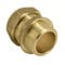 Bag of 2-10mm x 1/4 Compression Male Adapter (Available in 8mm, 10mm, 12mm, 15mm, 22mm, 28mm, 35mm, 42mm, 54mm, 1/4 inch, 3/8 inch, 1/2 inch, 3/4 inch, 1 inch, 1 1/4 inch, 1 1/2 inch, 2 inch BSP)