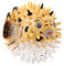Yardwe Pufferfish Spielzeug Realistisches Miniaturmeerestier Für Junge Mädchen Wasser-Spielzeug Für Badezimmer Pädagogisches Über Ozeanlebewesen