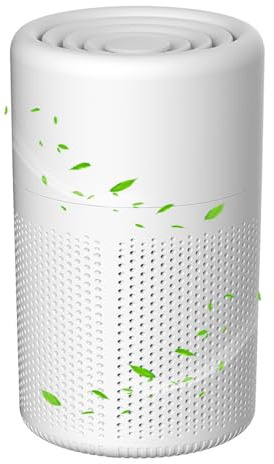 AndThere Luftreiniger Allergiker HEPA Filter, Air Purifier Wohnung Luftfilter Gegen Schimmel Staub Tierhaare Pollen, Luftreiniger für Raucherzimmer Schlafzimmer Büro, 5 Watt Energiesparend