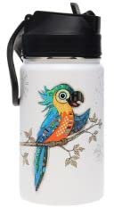 Gourde / Bouteille isotherme pour enfants Kook Perroquet 350ml
