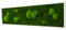 Moosbild Pflanzenbild im Forest Design mit 20% Kugelmoos und 80% Flachmoos rechteckig,Moosbilder rechteckig, Wandbild, Mooswand, Pflanzenbild mit Kugel- und Flachmoos und Holzrahmen (140x40 cm, weiß)
