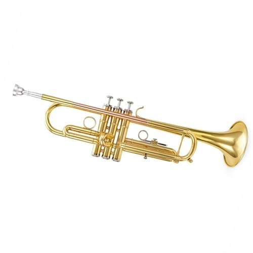 POHTYIT Trompete B Einsteiger Solo Blasinstrument Trompete Gold Edelstahl Vollton
