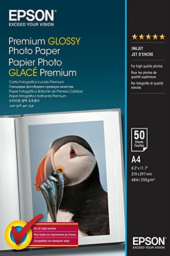 Epson C13S041624 - Premium Glossy Photo Paper - Premium Glossy Photo Paper - A4-50 Blätter