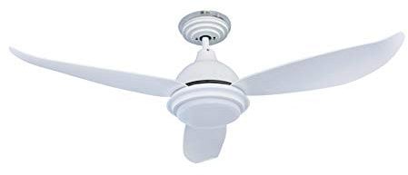 Pepeo GmbH Ventilatore da Soffitto Raja con Led Luce e Telecomando, Bianco, 122 cm, plastica