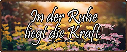 Blechschild 27x10cm gewölbt In der Ruhe liegt die Kraft Sprüche Deko Geschenk Schild