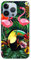 Silikonhülle bedruckt für Apple iPhone 13 Pro Tropical Tucan