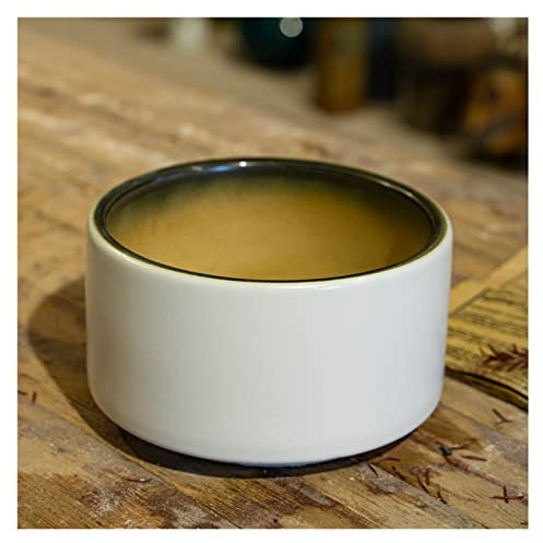 XFANAOOU Maceta de Interior, macetero suculento, Mini macetero de cerámica Blanco de 4,3 Pulgadas, macetero cilíndrico de Porcelana de Mesa con Orificio de Drenaje