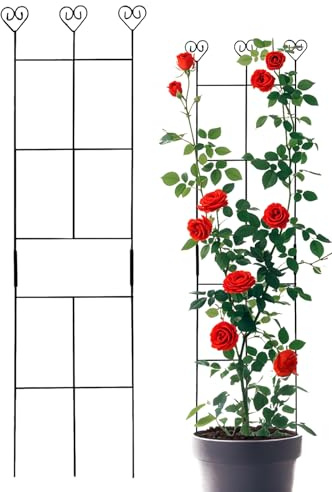 Supporto per piante rampicanti | traliccio in metallo | da giardino | pali di recinzione cortile decorazione per piante da interno Pothos Monstera cetrioli piante domestiche supporto esterno