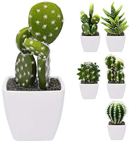 Murago 6 Stück künstliche Kakteen im weißen Topf ca.10-13cm Mini klein Künstlicher Kaktus Kunstpflanze mit Blumentopf Tisch Dekoration