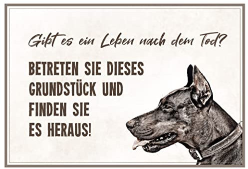 ZAUBERBILD Hundeschild Warnung | Dobermann | Warnschild Vorsicht Hund | 25x17cm Alu