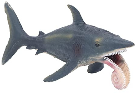Bnineteenteam Hai-Simulationsmodell, 19,3 X 7,5 X 7,3 cm, Lebensechtes Lebendiges P?dagogisches Helicoprion-Modellspielzeug Meerestierspielzeug Science and Education Toy f¨¹r ¨¹ber 3 Jahre