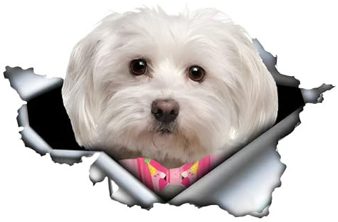 Autoaufkleber Malteser Aufkleber 15cm(5.9 Inch) Malteser Mit Rosa Schleife Reflektierende Aufkleber 3D Zerrissen Autoaufkleber Haustier Hund Lustig Aufkleber Maltese Car Sticker Lustig Dekor