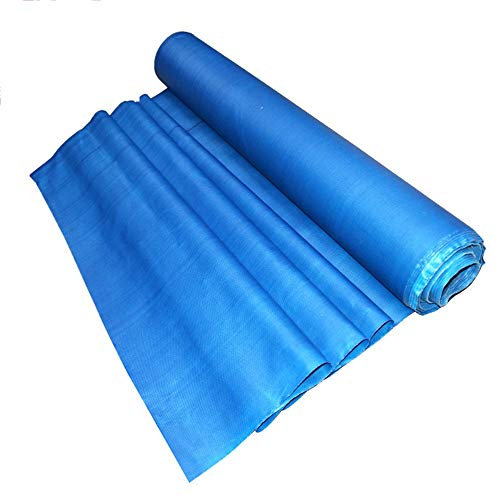 DGLIYJ PVC wasserdichte Tarp Grommetted Reiß- Robuste Konstruktion Geeignet for Outdoor-Camping-Zelt Camping Boden Plane (Size : 4x5m)