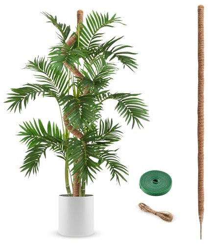 NATSUKY Poste de musgo Monstera de 63 pulgadas, postes de musgo flexibles para plantas trepadoras, varillas de fibra de coco más largas, estacas de soporte altas para enredadera de interior, plantas