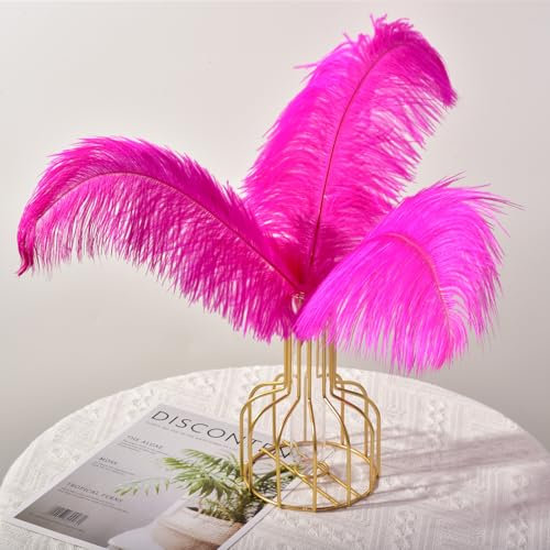30 pièces de plumes d'autruche, Plumes Grand Pour la maison Décoration de mariage, Bricolage, Plumes d'autruche Vase (Fuchsia)