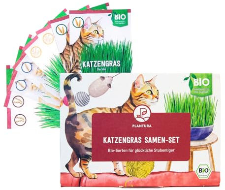 Plantura Bio-Katzengras Samen-Set, Premium Mix mit 4 Sorten, weiche Halme, für 8 Töpfe