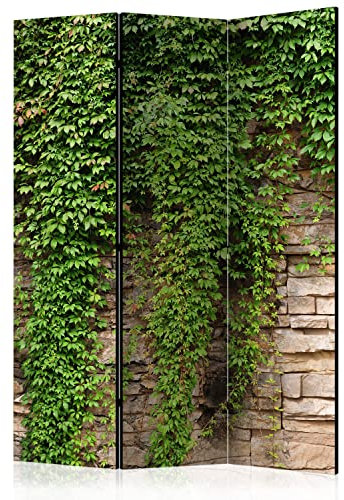 murando Raumteiler Foto Paravent Steinoptik 135x172 cm beidseitig auf Vlies-Leinwand bedruckt Trennwand Spanische Wand Sichtschutz Raumtrenner Betonoptik Efeu Pflanzenmotiv b-A-0532-z-b