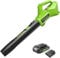 Greenworks G24ABIIK2 Soffiatore Foglie Assiale a Batteria, 145km/h, 9,08m³/min Batteria 24V e Caricabatterie, Garanzia 3 Anni