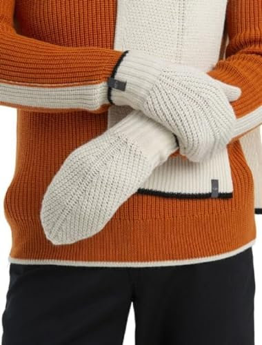 Icebreaker Waypoint Handschuhe Undyed/Black S