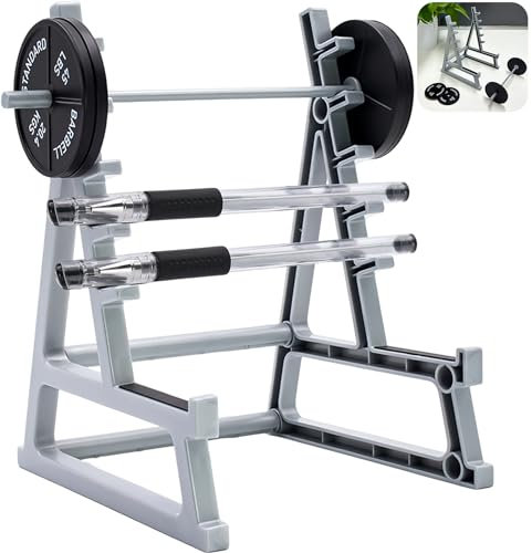 Squat Rack Stifthalter für Schreibtisch, lustiges Schreibtisch-Zubehör für Büro, Augenster Langhantelständer, Stifthalter für Fitnessstudio, einzigartiger Organizer für Männer, Mini-Gewichtshalter aus