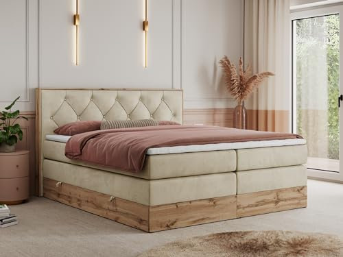 MKS MEBLE King Boxspringbett 140x200 mit Kopfteil und Bettkasten, Polsterbett mit Matratze H3 und Topper T25, Wotan Eiche Dekor - Beige Velvet - Veneto King