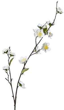Künstlicher Kirschblütenzweig 70cm - Kunstzweig Kirschblüte - Kirschzweige Blütenzweig Dekozweige - Kunstblumen Deko Zweig - Hochzeitsdeko Frühlingsdeko Osterdeko - Weiß
