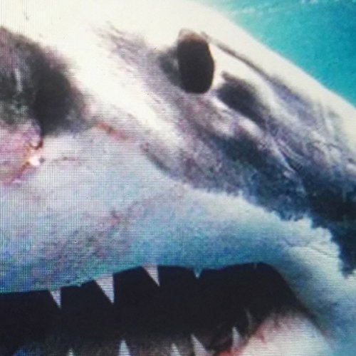 UNIVERSAL MUSIC GROUP