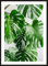 HUBDECO Bild Wanddekoration Poster - Hochwertiges Poster gedruckt auf 200g/m2 Posterpapier - Tolle Zimmerdekoration - Schlafzimmer Bilder - Ohne Ramen - 40x30cm - Monstera-Blätter