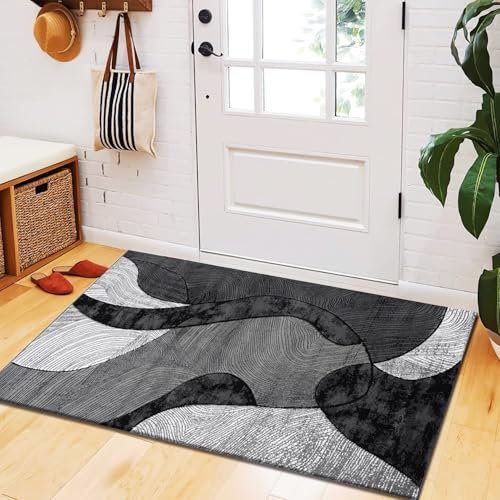 B&B Velvet Curve Door Mat for Indoor - Luxury Super Soft Cozy Dense Thick Pile Shaggy Doormats for Bedroom Living Room Kitchen Dining Area Entrance Matt (50 x 80 cm, Grey)