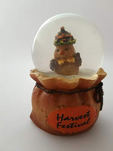 Glitzerkugel Herbst Vogel mit Tannenzapfen Hut, Schneekugel Glitterkugel Sack Halloween Geschenkidee