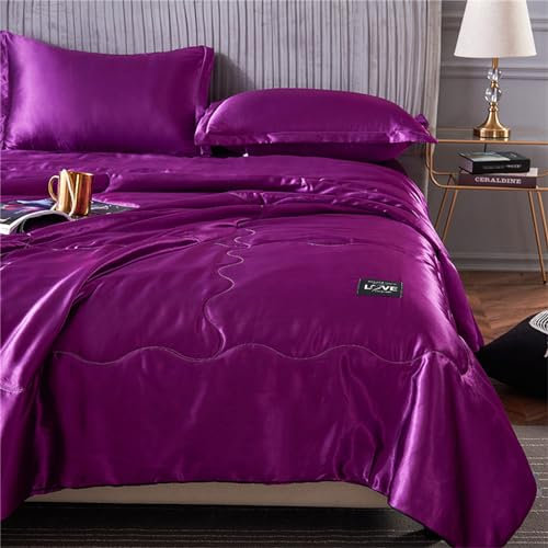 Chickwin Copriletto Satin, Tinta Unita Copriletto Trapuntato Estivo Copriletti Trapuntati Trapuntino Traspirante Morbido Confortevole per Letto Singolo Matrimoniale King (180x220cm,Viola Scuro)