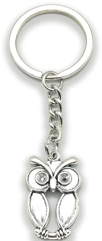 Zynara Schlüsselanhänger Eule Silber, Glücksbringer Schlüsselanhänger für Mädchen, Geschenk zur Einschulung oder Geburtstag,Eule Charm für Auto Tasche