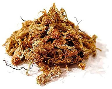 Torfmoos Orchideensubstrat Spaghnum aus Chile Chiloe'Moss RED (250g)