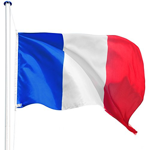 tectake® Mat de Drapeau Téléscopique en Aluminium Hauteur Réglable max. 625 cm avec Drapeau, Douille au Sol et Corde pour Évènements sportifs Football Rugby - 16 Pays au choix - Drapeau francais