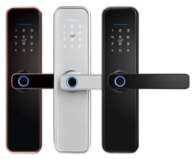 TTLOCK WIFI SMART DOUT BLOCK BLOCK SMART BLUETOOTOT Digitale Applikation Keypad Code Schlüsselloses elektronisches Türschloss (2405050) Intensiv gelehrt Aqiong