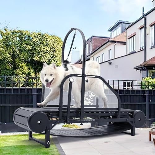 Hunde-Laufband, verstellbare Rampe, Laufgerät für den Innenbereich, unterstützt bis zu 136 kg, inklusive Schrittzähler für Bewegung und Fitness