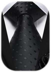 HISDERN Herren Krawatte Taschentuch Klassische Elegant Formelle Tupfen Krawatten Und Einstecktuch Set Beerdigung Meeting Schwarz