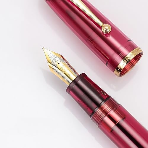 JinHao 9019 Fountain Pen,Iridium Fine Nib with Converter, Clear Acrylic Style Large Ink Capacity Writing Pen