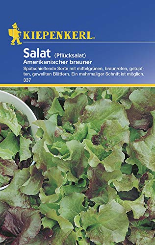 Kiepenkerl 337 Pflücksalat Amerikanischer brauner (Pflücksalatsamen)