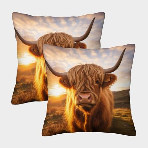 ZHUICHENG Hochlandrinder Kuschelige Kissenbezug 2er Set Für Kinder - Kuh Dekorative Bezüge Für Sofa - Mit Reißverschluss, Geeignet Für Jungen 45x45cm