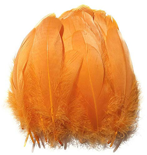 Suneast 100 Stücke Federn Dekoration Natürliche Gänsefedern Weiche Crafts Feather Indianer Federn für Traumfänger Basteln, Kostüme Hüte Schmuck Deko, DIY Ohrring - Orange, 15-20cm