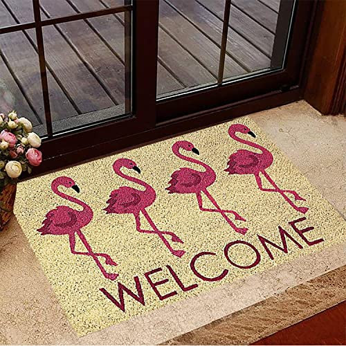 NA Fussmatte innen Flamingo-Fußmatte Flamingo-Willkommensmatte im Freien vorne Fußmatte für Haus deko Wohnzimmer