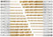 Juego de brocas hexagonales de 26 piezas, 1,5-6,5 mm con vástago hexagonal, broca de cambio rápido, vástago hexagonal para metal, accesorios de taladro de impacto