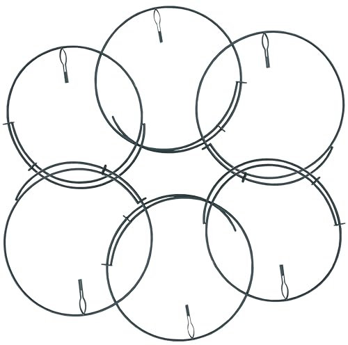 Meister Staudenhalter 25-40 cm - 6 Stück - Wetterfest & langlebig - Für Sträucher, Blumen, Stauden & Tomaten - Strauchstütze - Pflanzenstütze - Blumenhalter - FLOR78440