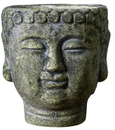Qianly Buddha-Kopf-Pflanzgefäß für Pflanzen und Blumen im Innenbereich, GrÜn