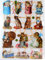 Glanzbilder Katze Cat EF 7360 Oblaten Posiebilder Scrapbook Deko GWI 310