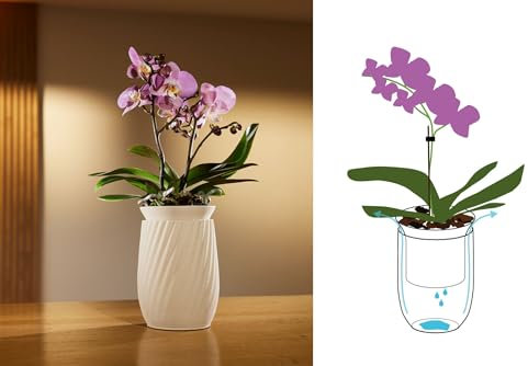 ELMNTS Orchideen-Vase Soil (Pure Pearl)